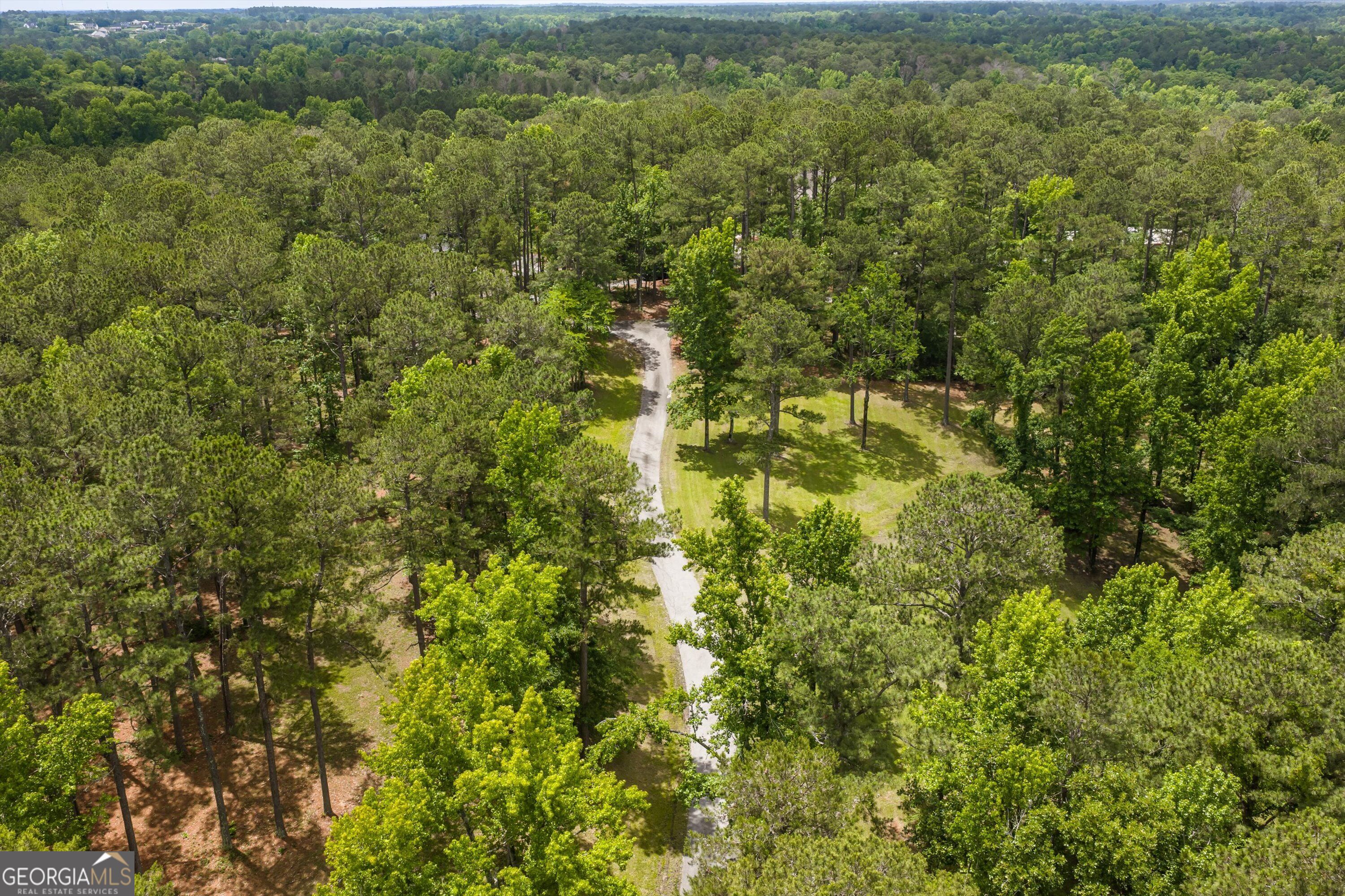 6218 Columbia Road Appling, GA 30802 - Photo 5 of 98 10.43 acres with long winding drive from main road