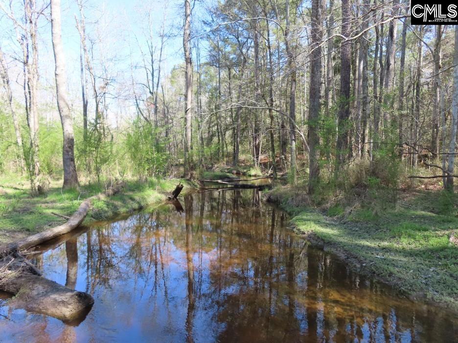 1672 Dixired Road Leesville, SC 29070 - Photo 39 of 67