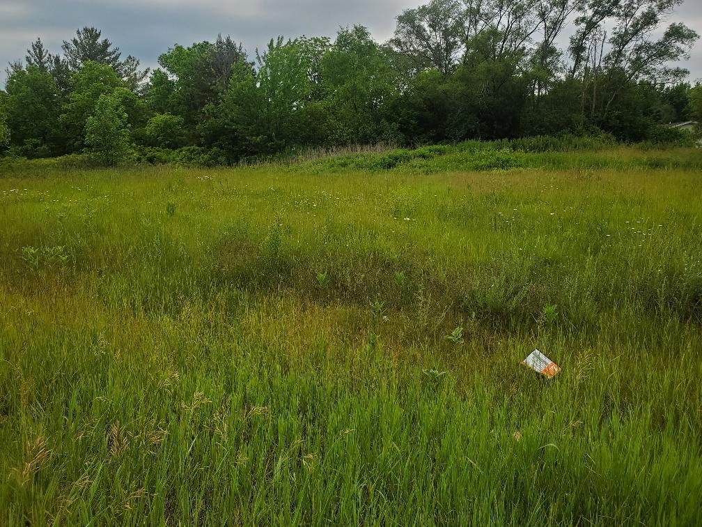 7205 East Pickard Road, Unit LOT: 12 Mount Pleasant, MI 48858 - Photo 3 of 6