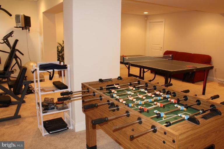 445 Neepier Road Catonsville, MD 21228 - Photo 19 of 30 Recreation Room #2