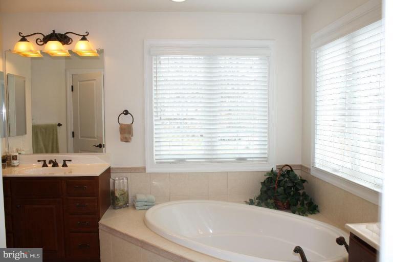 445 Neepier Road Catonsville, MD 21228 - Photo 21 of 30 Master Bath #2