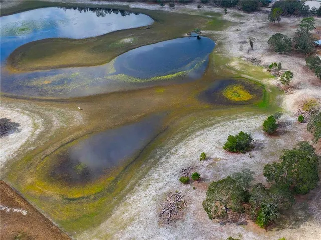 a view of a swimming pool with two chairs
