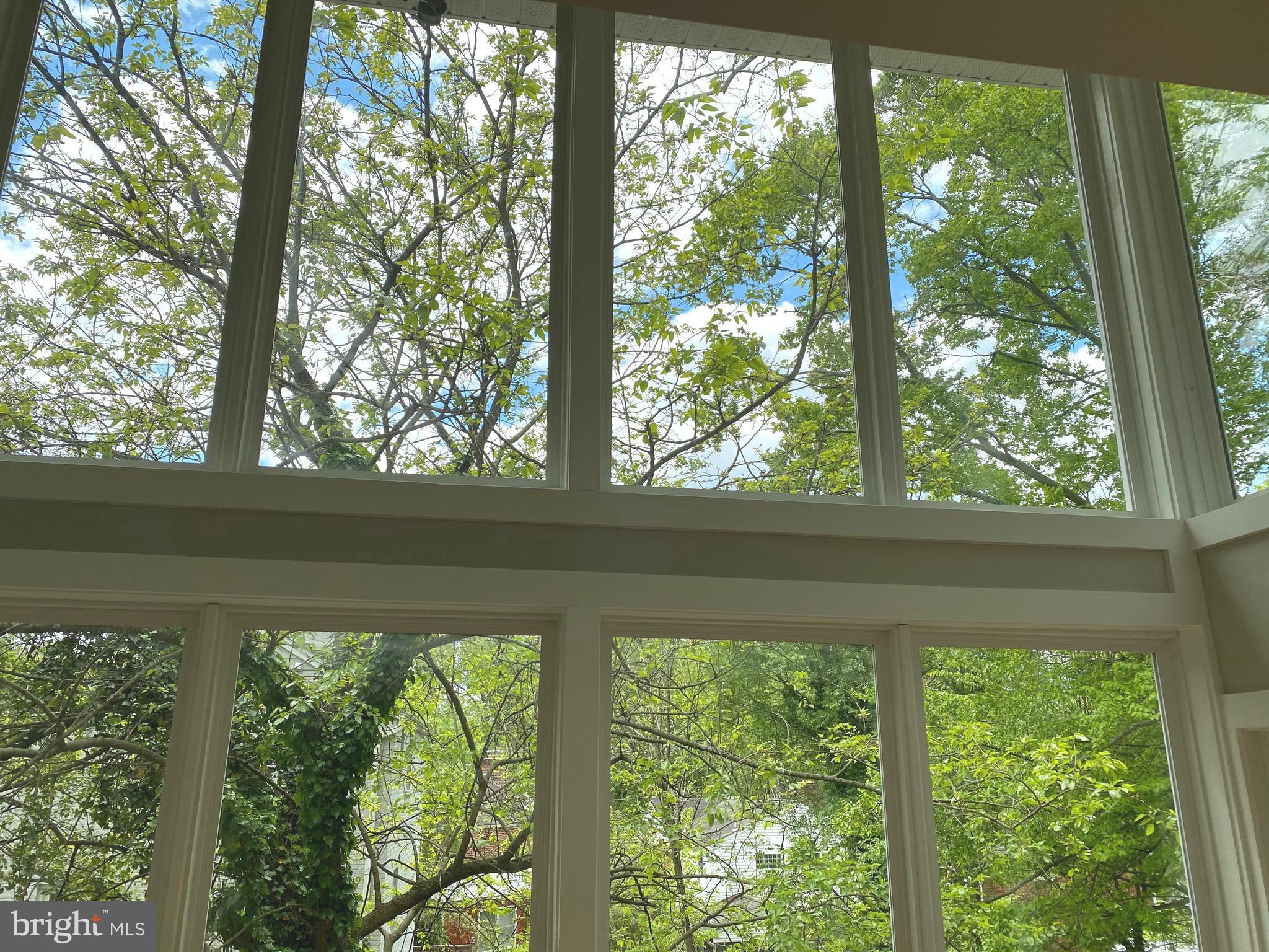 11706 Lytle Street Silver Spring, MD 20902 - Photo 25 of 67 SCENIC VIEW/ GREAT PRIVACY