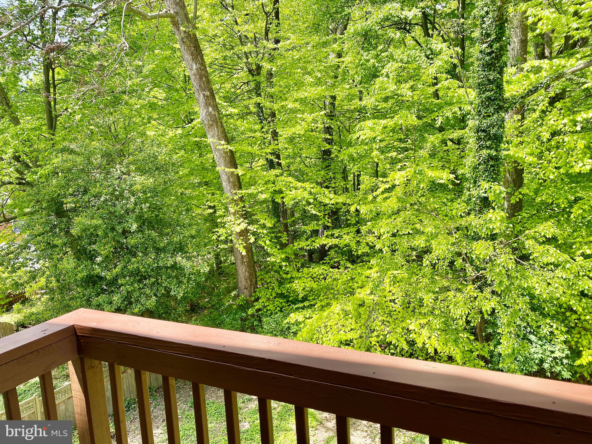 11706 Lytle Street Silver Spring, MD 20902 - Photo 40 of 67 SCENIC PRIVAT VIEW OFF MASTER BEDROOM