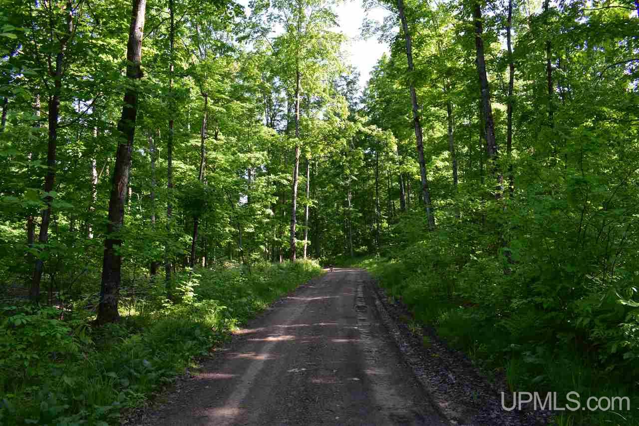 12651 Goodreau Road Skanee, MI 49962 - Photo 32 of 50 Gallery Image 32