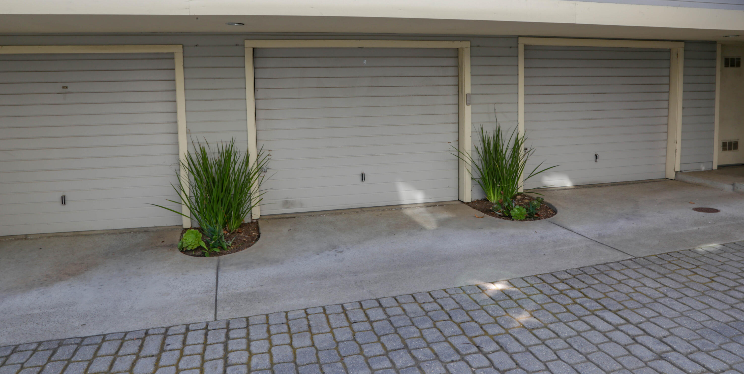 325 Ladera Street, Unit 5 Santa Barbara, CA 93101 - Photo 16 of 16 a potted plant sitting in front of a door