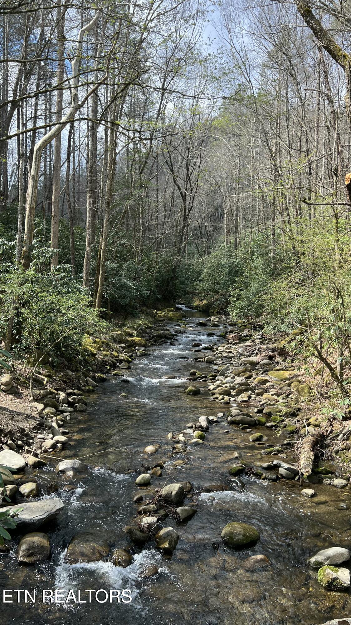 337 Costner Road Cosby, TN 37722 - Photo 31 of 49 IMG_7185