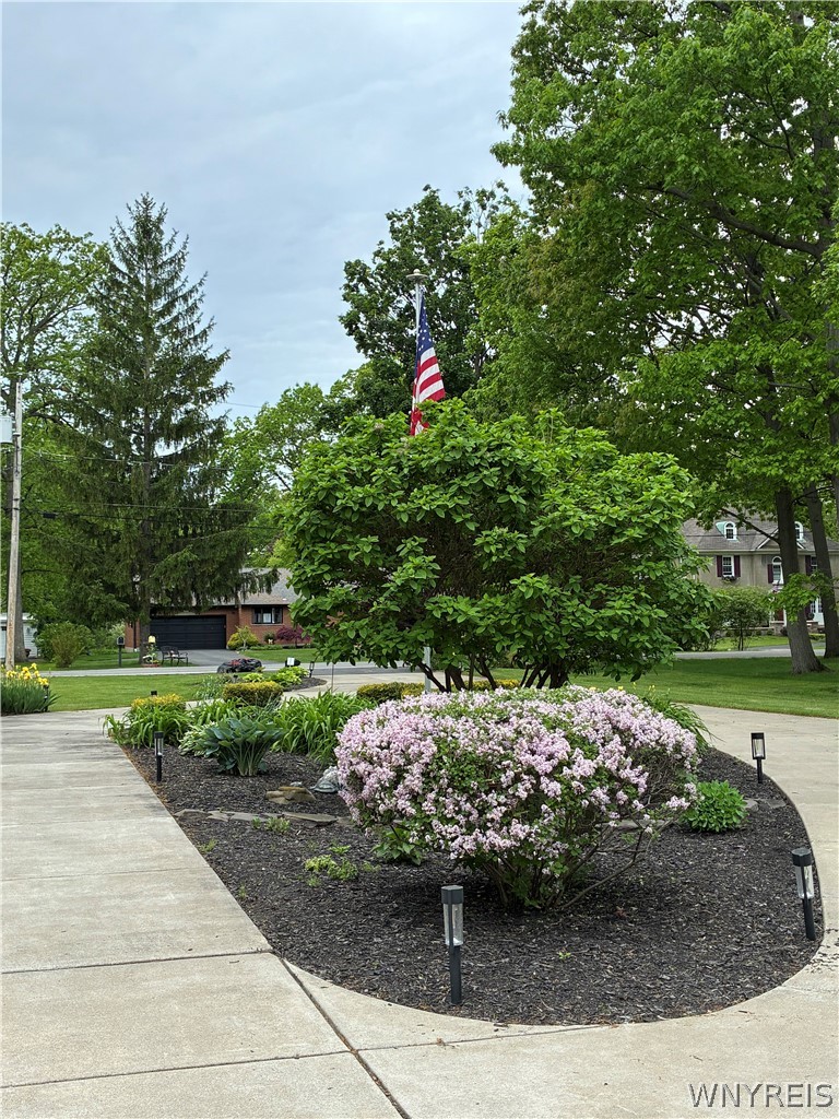 5079 Forest Road Lewiston, NY 14092 - Photo 46 of 50 CIRCLE DRIVE W/FLAG POLE -LILACS