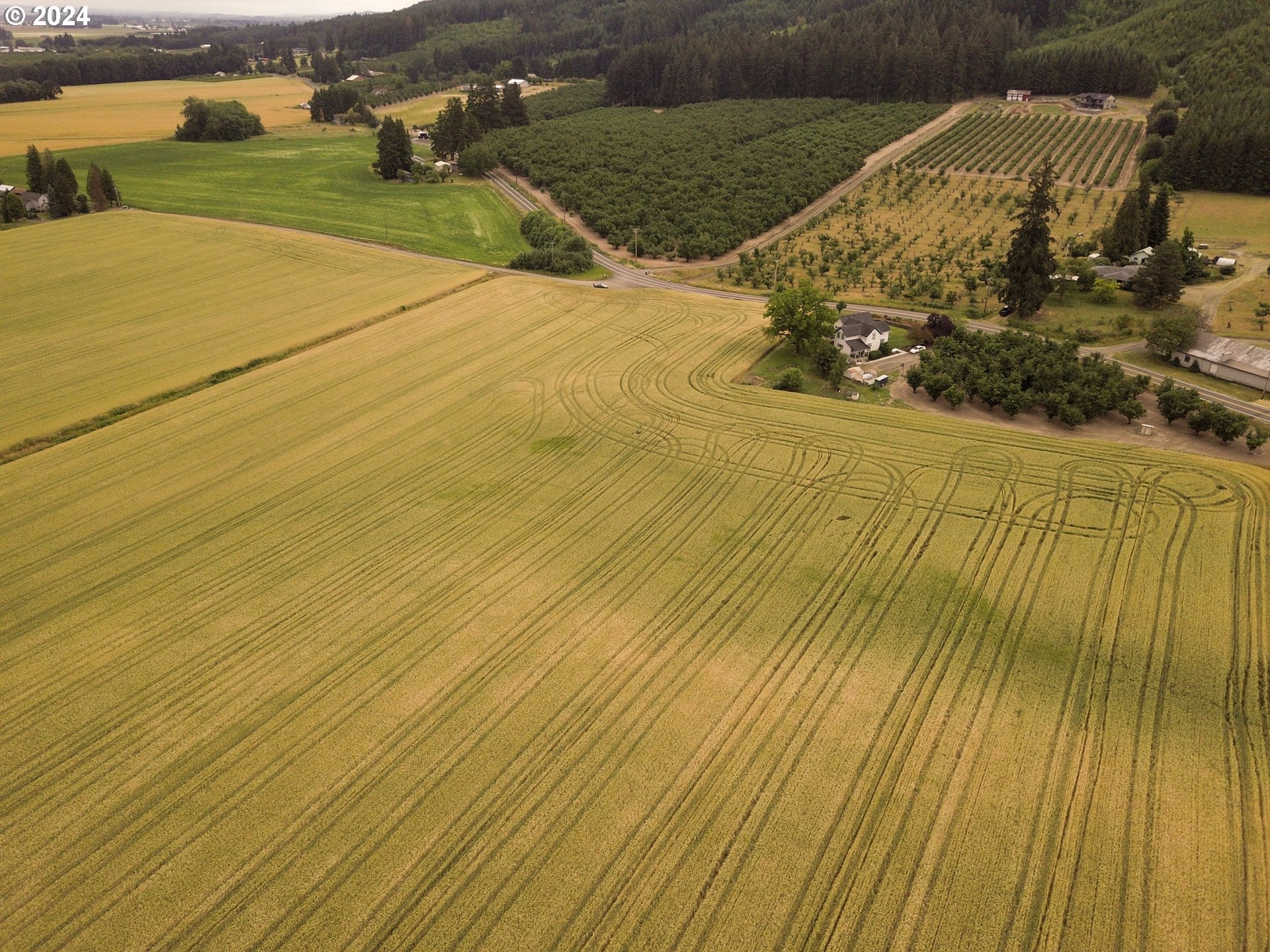 0 Northwest Hillside Road Forest Grove, OR 97116 - Photo 11 of 13 Gallery Image 11