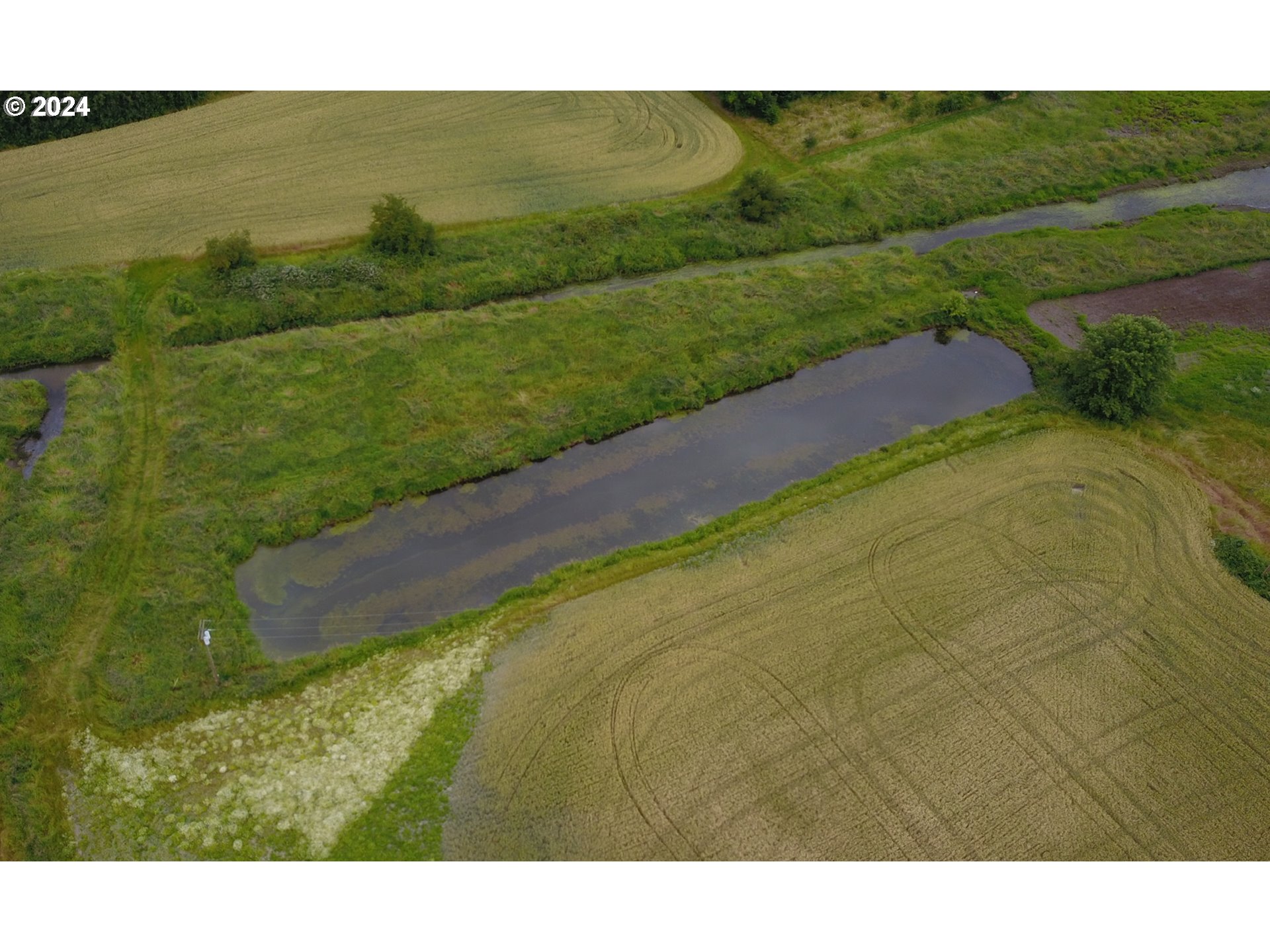 0 Northwest Hillside Road Forest Grove, OR 97116 - Photo 12 of 13 Pond