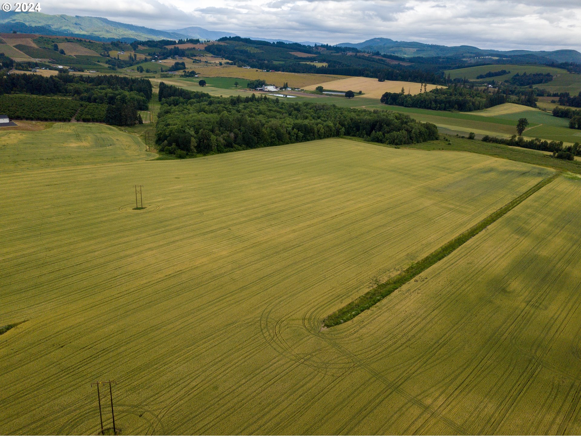 0 Northwest Hillside Road Forest Grove, OR 97116 - Photo 9 of 13 Gallery Image 9