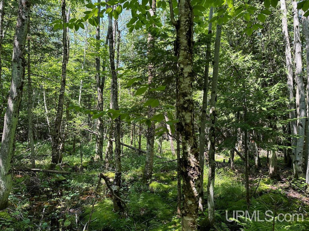 Parcel B Webb Road Grand Marais, MI 49839 - Photo 16 of 28