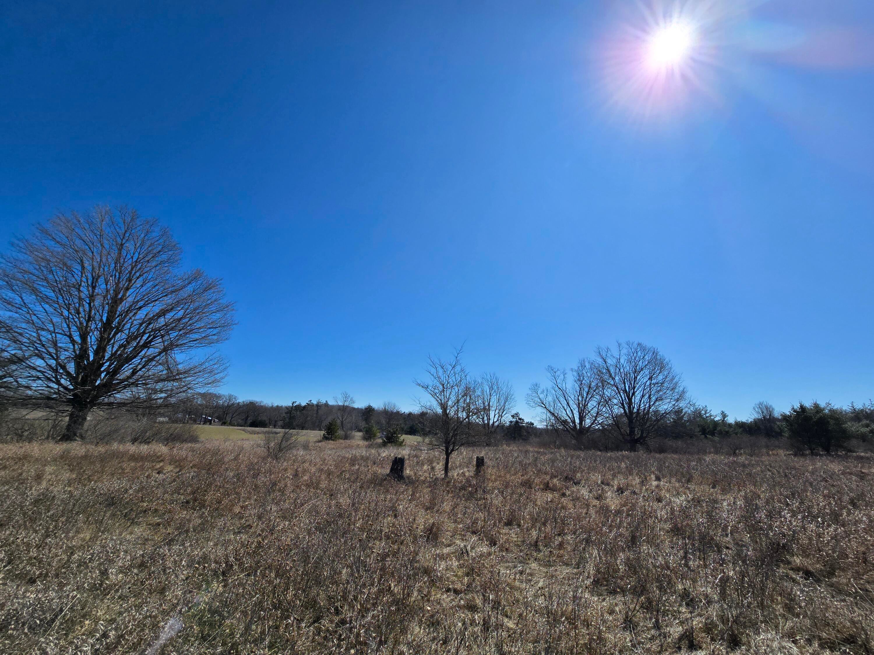80-acre Ross Road Barton City, MI 48705 - Photo 14 of 47 Gallery Image 14