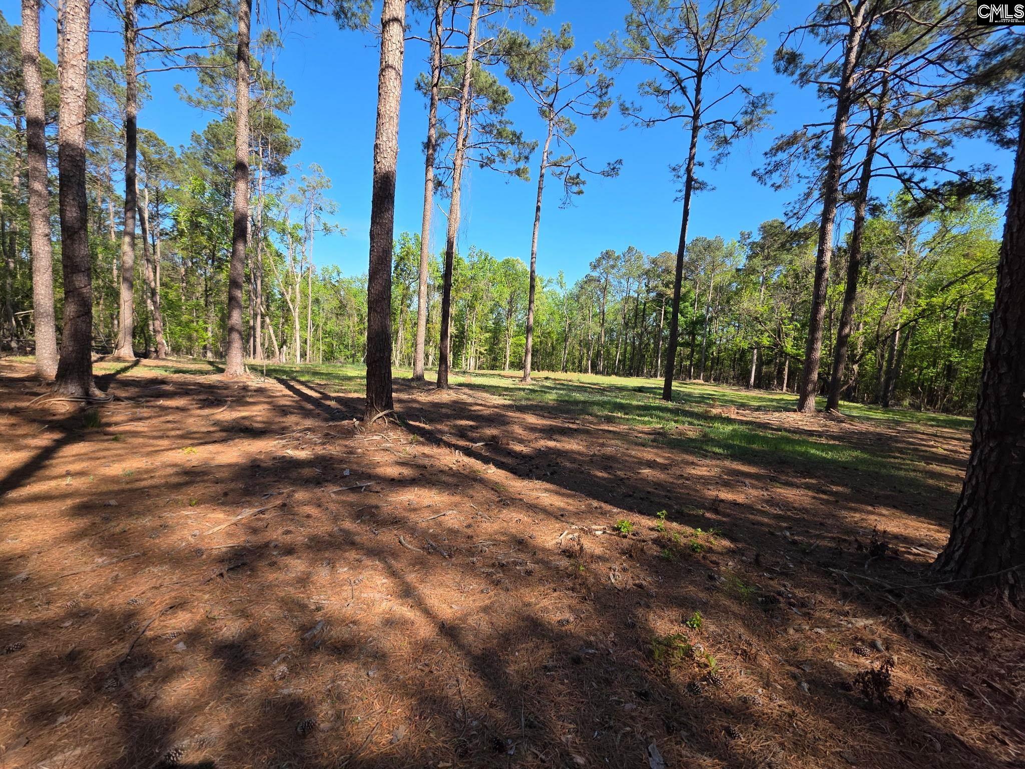 0 Mud Creek Road Newberry, SC 29108 - Photo 6 of 10