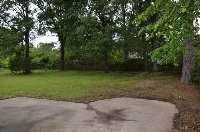 a view of a field with a tree
