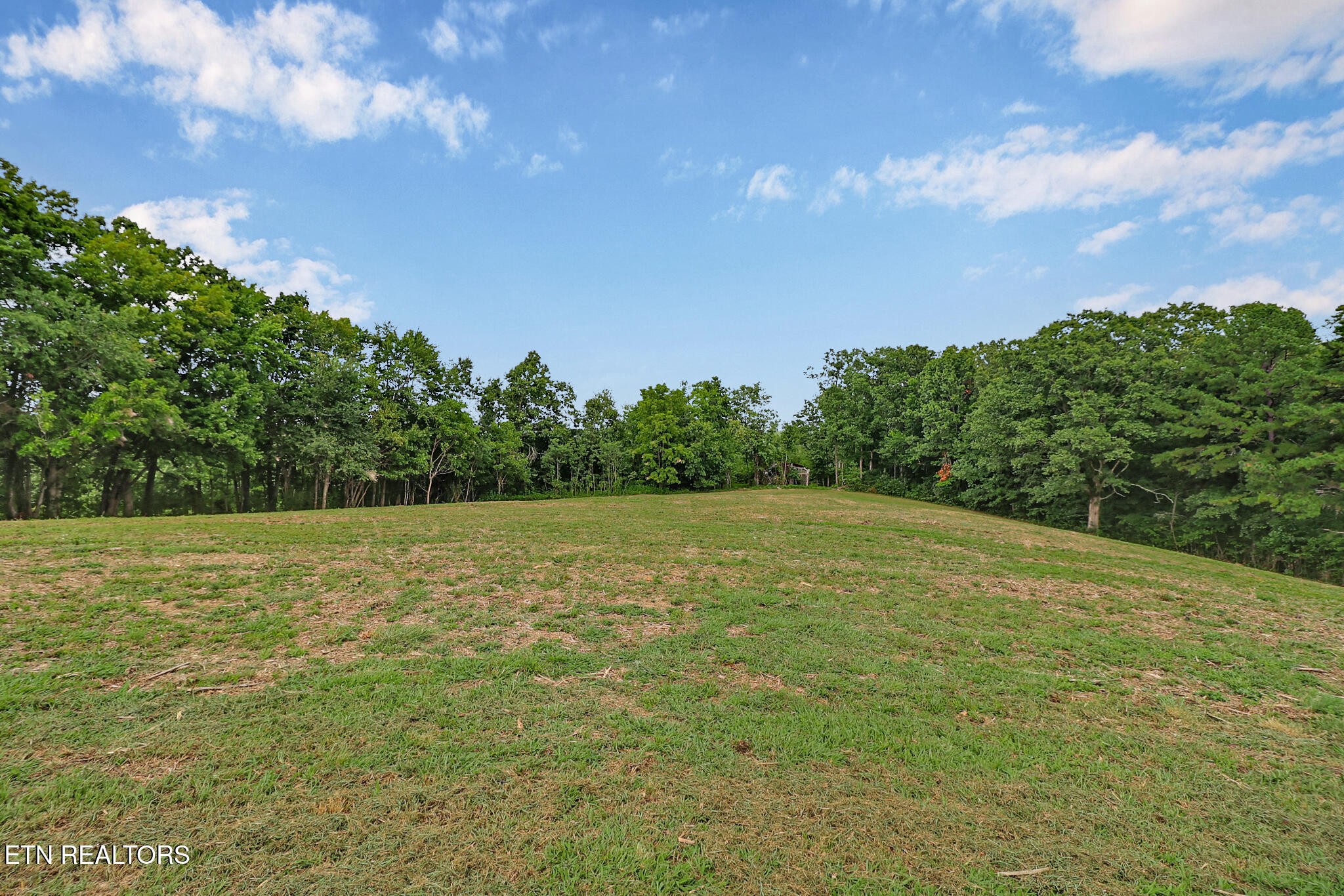 4357 Round Mountain Road Jamestown, TN 38556 - Photo 4 of 46 Gallery Image 4
