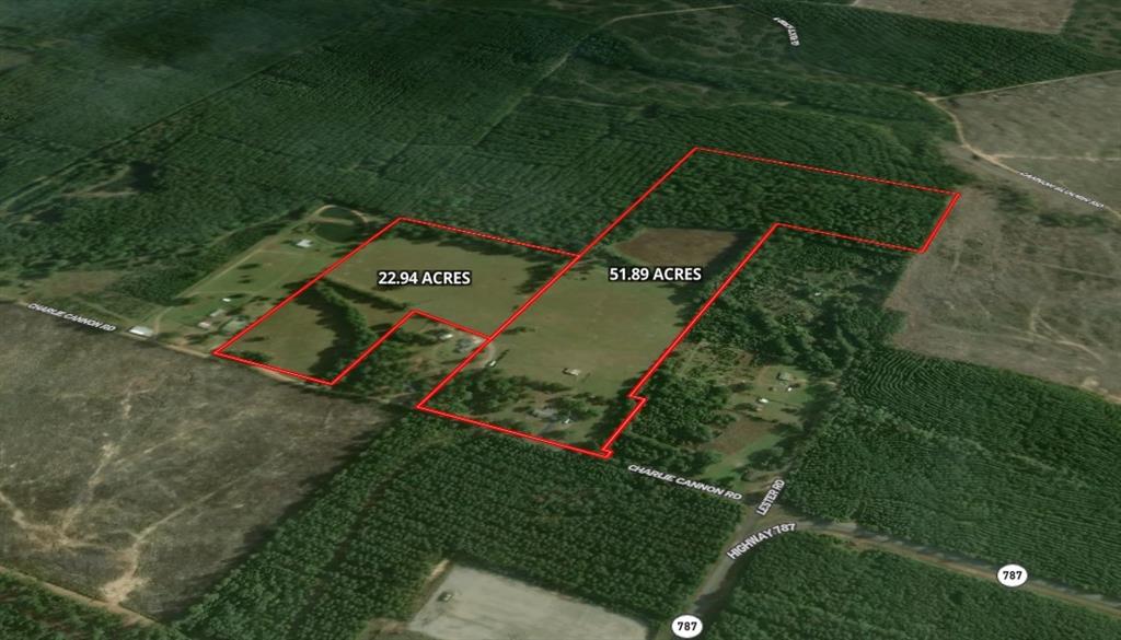 0 Charlie Cannon Road Coushatta, LA 71019 - Photo 2 of 12