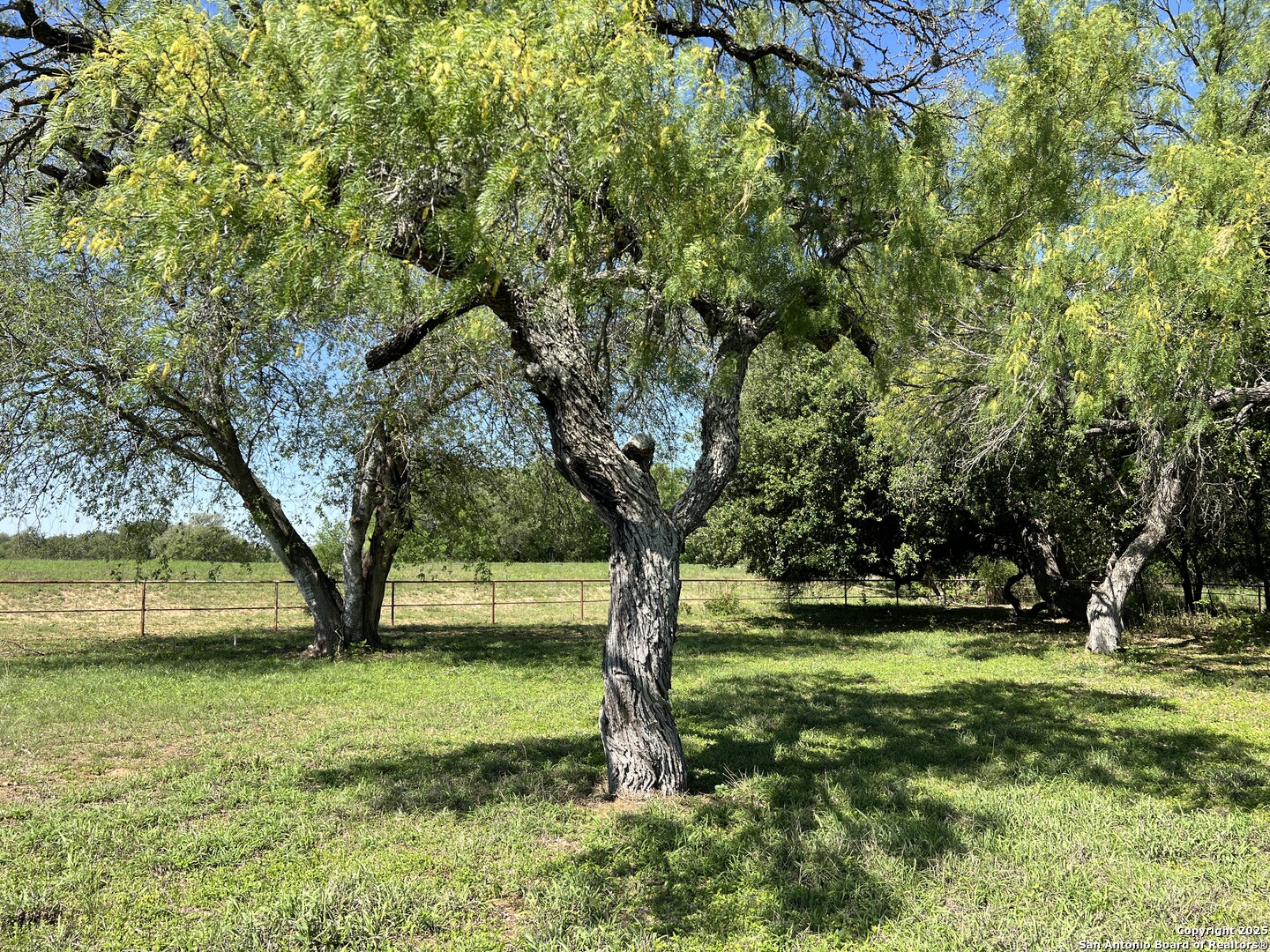 3894 South State Highway Devine, TX 78016 - Photo 5 of 8 a view of outdoor space with deck and trees