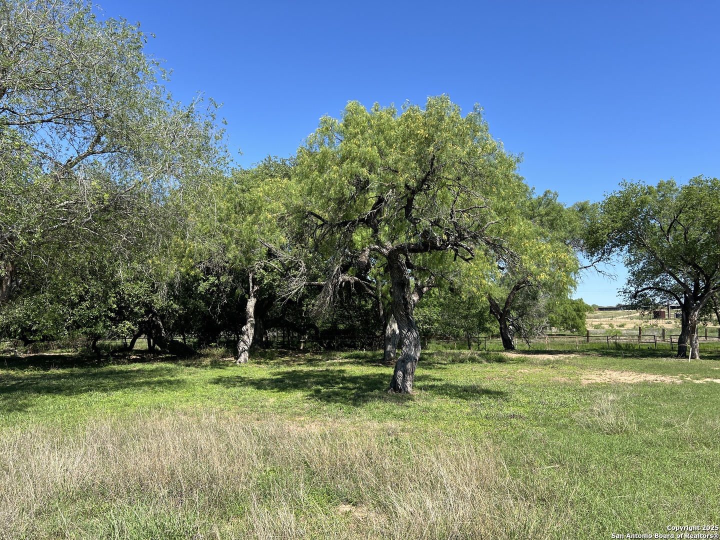 3894 South State Highway Devine, TX 78016 - Photo 7 of 8 a view of a tree in a park