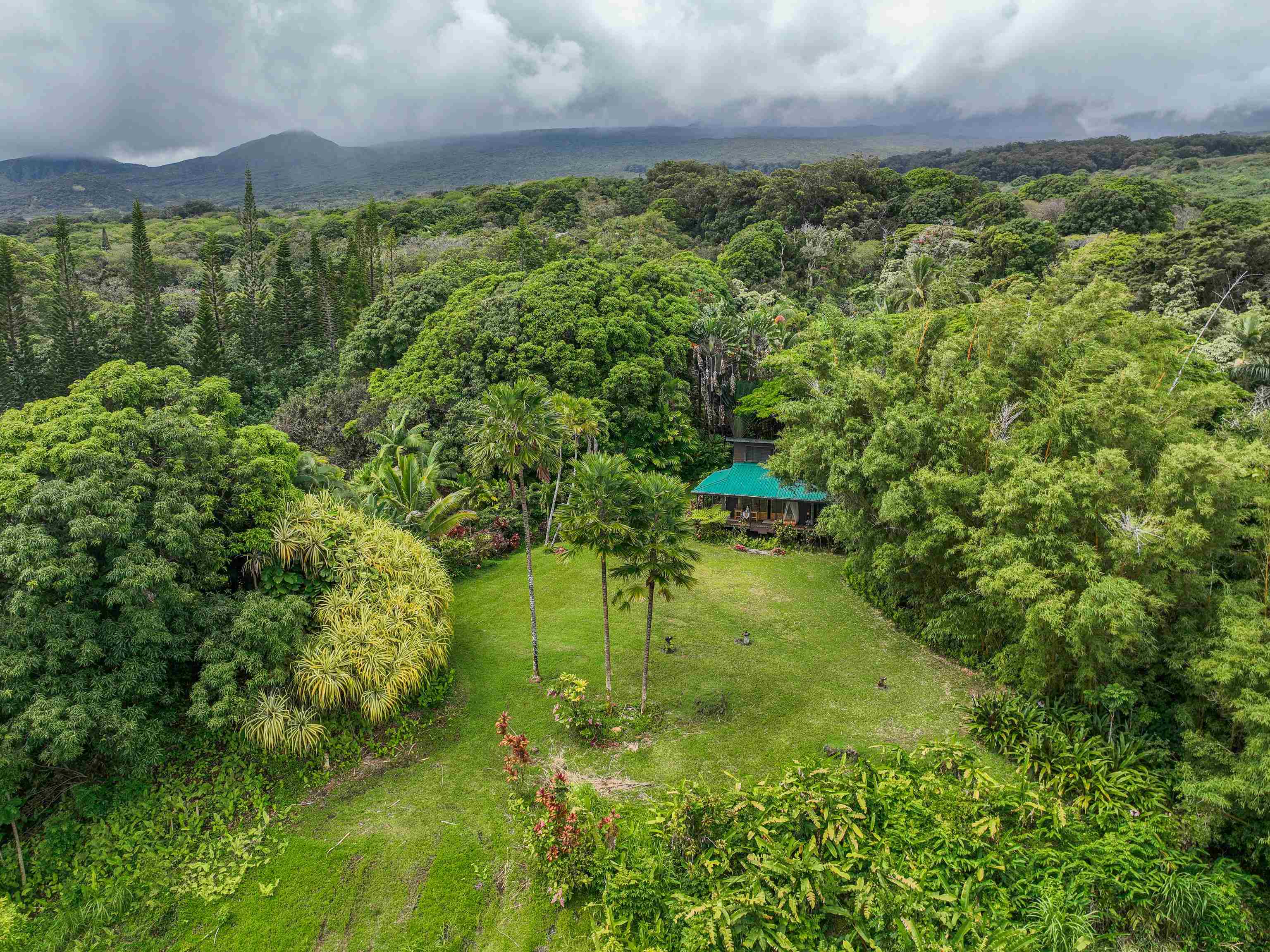 1600 Lower Nahiku Road Hana, HI 96713 - Photo 7 of 23