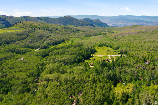5339 North Grouse Road, Unit 54 Midway, UT 84049 - Photo 5 of 17