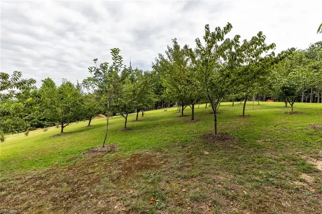 $459,000 | 1919 Old Orchard Loop, Stuart, VA 24171