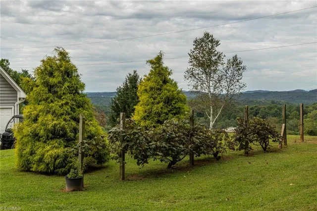 $459,000 | 1919 Old Orchard Loop, Stuart, VA 24171