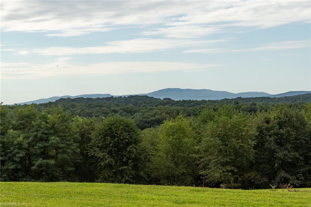 1919 Old Orchard Loop Stuart, VA 24171 - Photo 30 of 41
