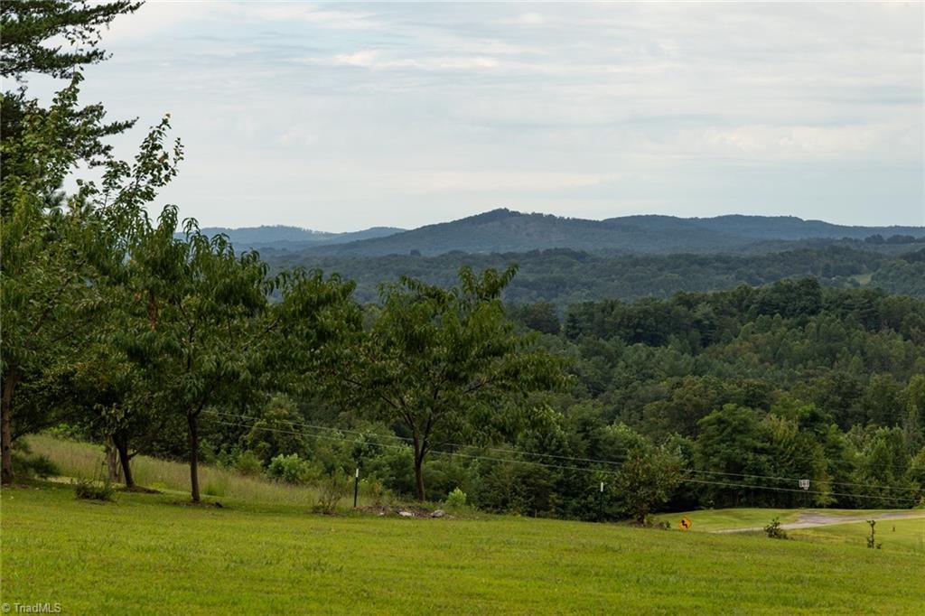1919 Old Orchard Loop Stuart, VA 24171 - Photo 7 of 41