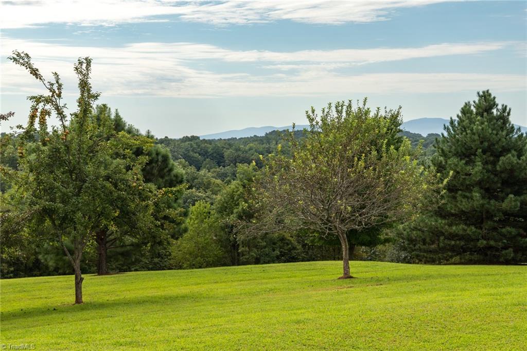 1919 Old Orchard Loop Stuart, VA 24171 - Photo 8 of 41