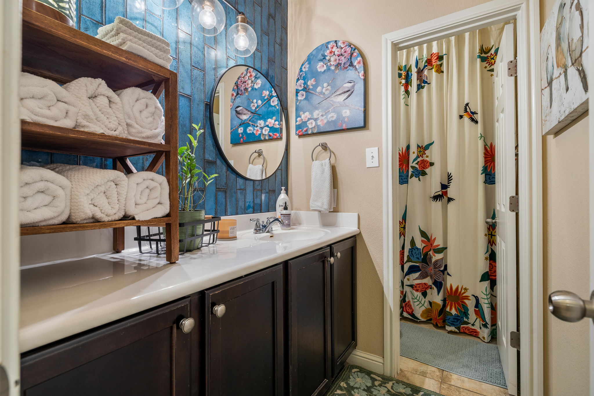 2494 Santa Barbara Loop Round Rock, TX 78665 - Photo 29 of 35 a bathroom with a sink and a mirror