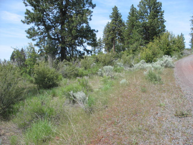 Irving Way, Unit 3 Chiloquin, OR 97624 - Photo 10 of 10 2019-06-10 16.04.18