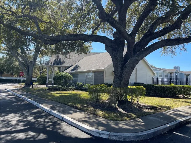 a house view with a backyard space
