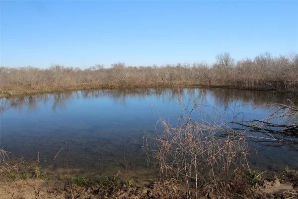 $999,000 | 1223 County Road 429, Dime Box, TX 77853