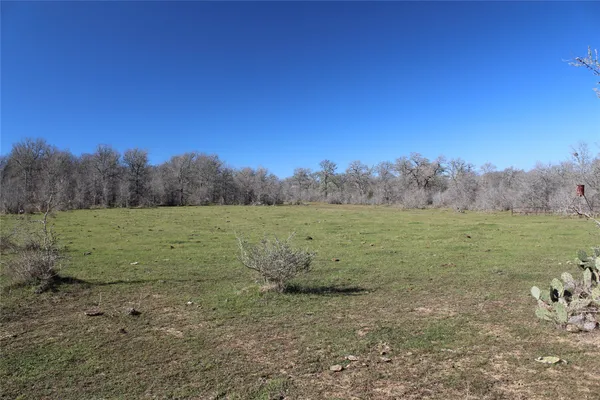 a view of a field with an ocean view