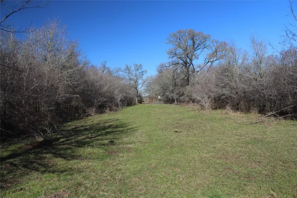 a view of a field with trees around