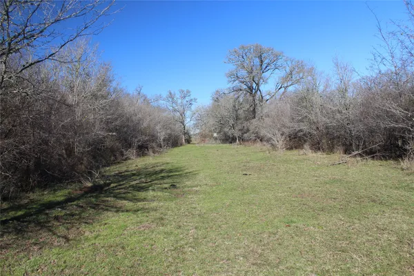 a view of a field with an trees