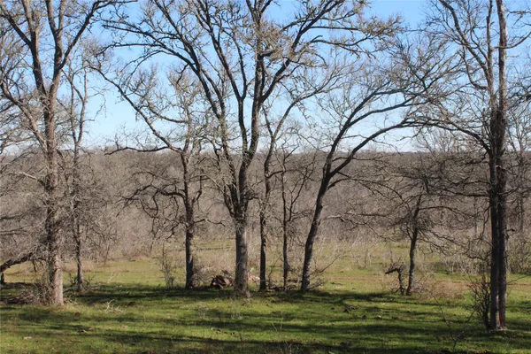a view of outdoor space with trees