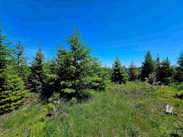 $238,700 | 0 Timberline Heights, Weippe, ID 83553