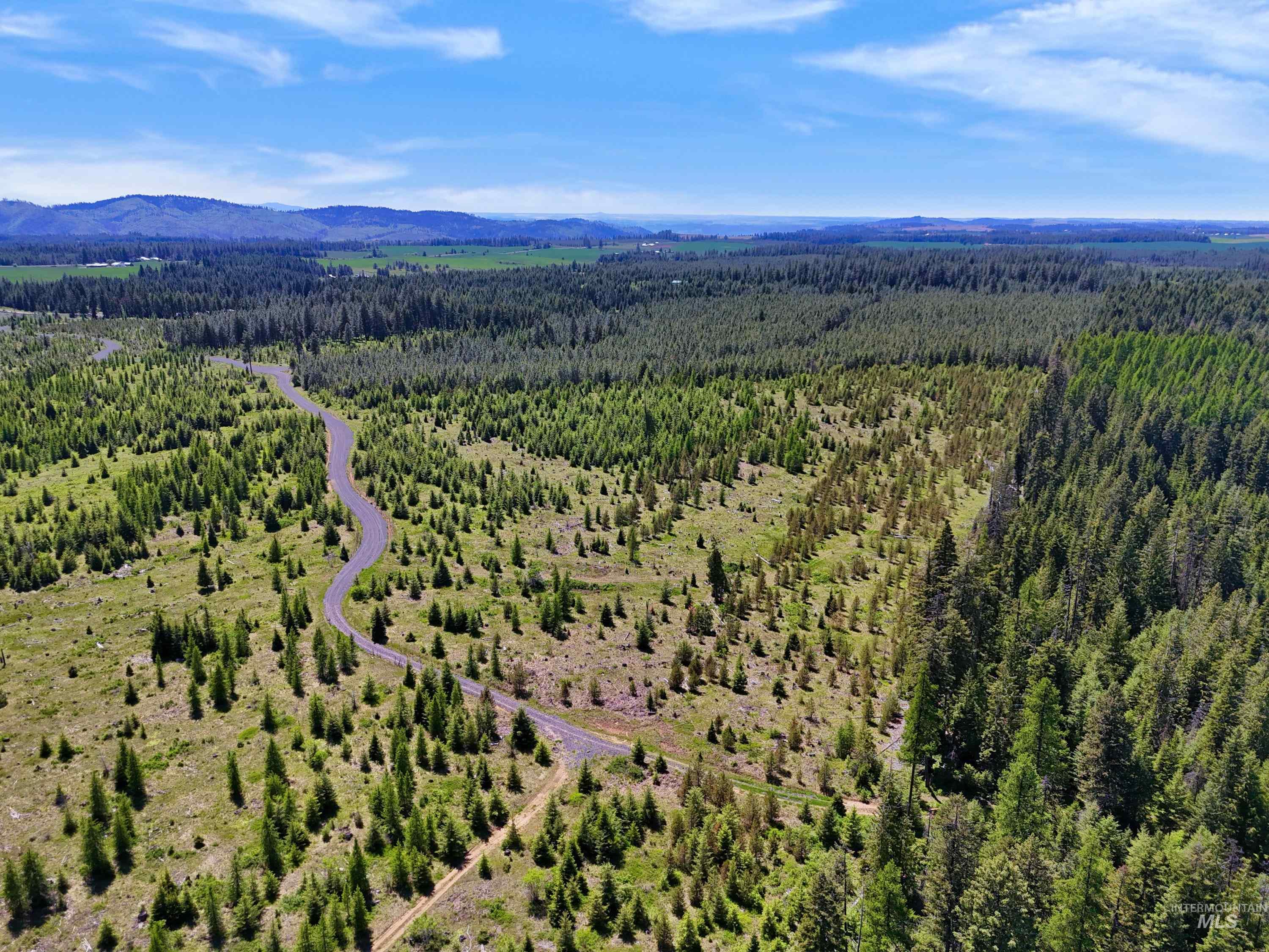 0 Timberline Heights Weippe, ID 83553 - Photo 13 of 15