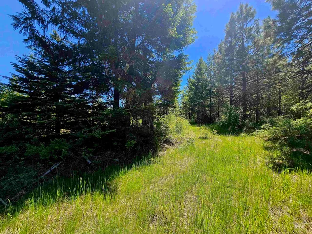 $238,700 | 0 Timberline Heights, Weippe, ID 83553