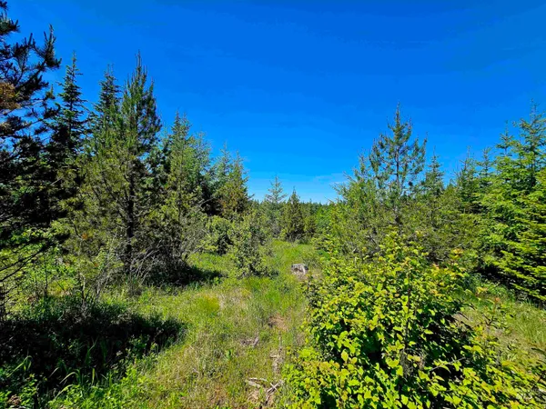 $238,700 | 0 Timberline Heights, Weippe, ID 83553