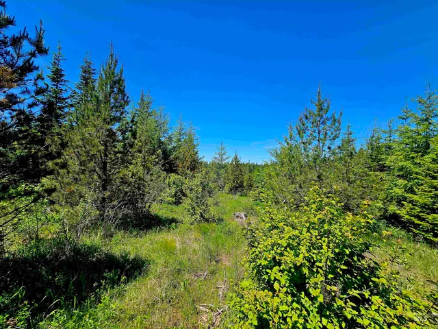 $238,700 | 0 Timberline Heights, Weippe, ID 83553