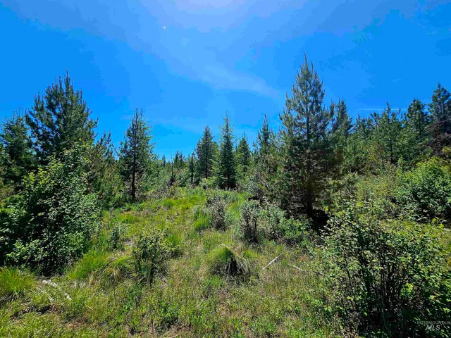 $238,700 | 0 Timberline Heights, Weippe, ID 83553
