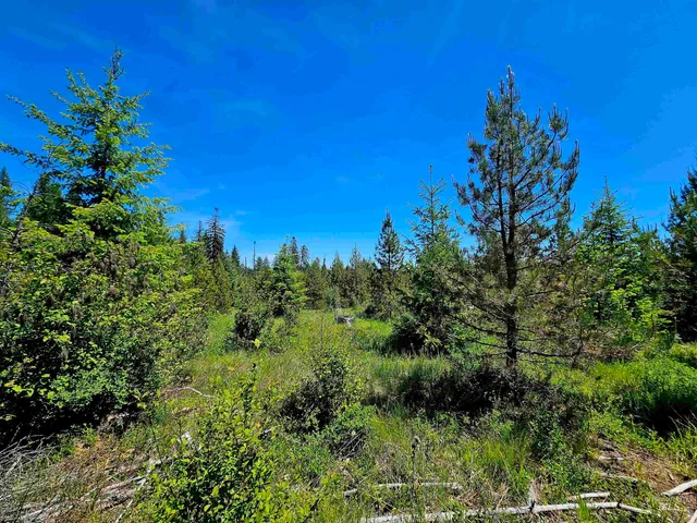 $238,700 | 0 Timberline Heights, Weippe, ID 83553