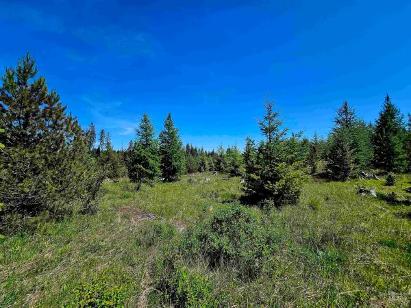 $238,700 | 0 Timberline Heights, Weippe, ID 83553