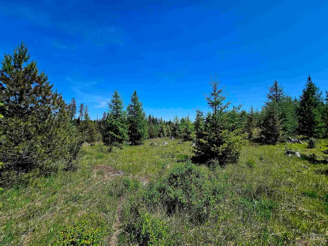 $238,700 | 0 Timberline Heights, Weippe, ID 83553