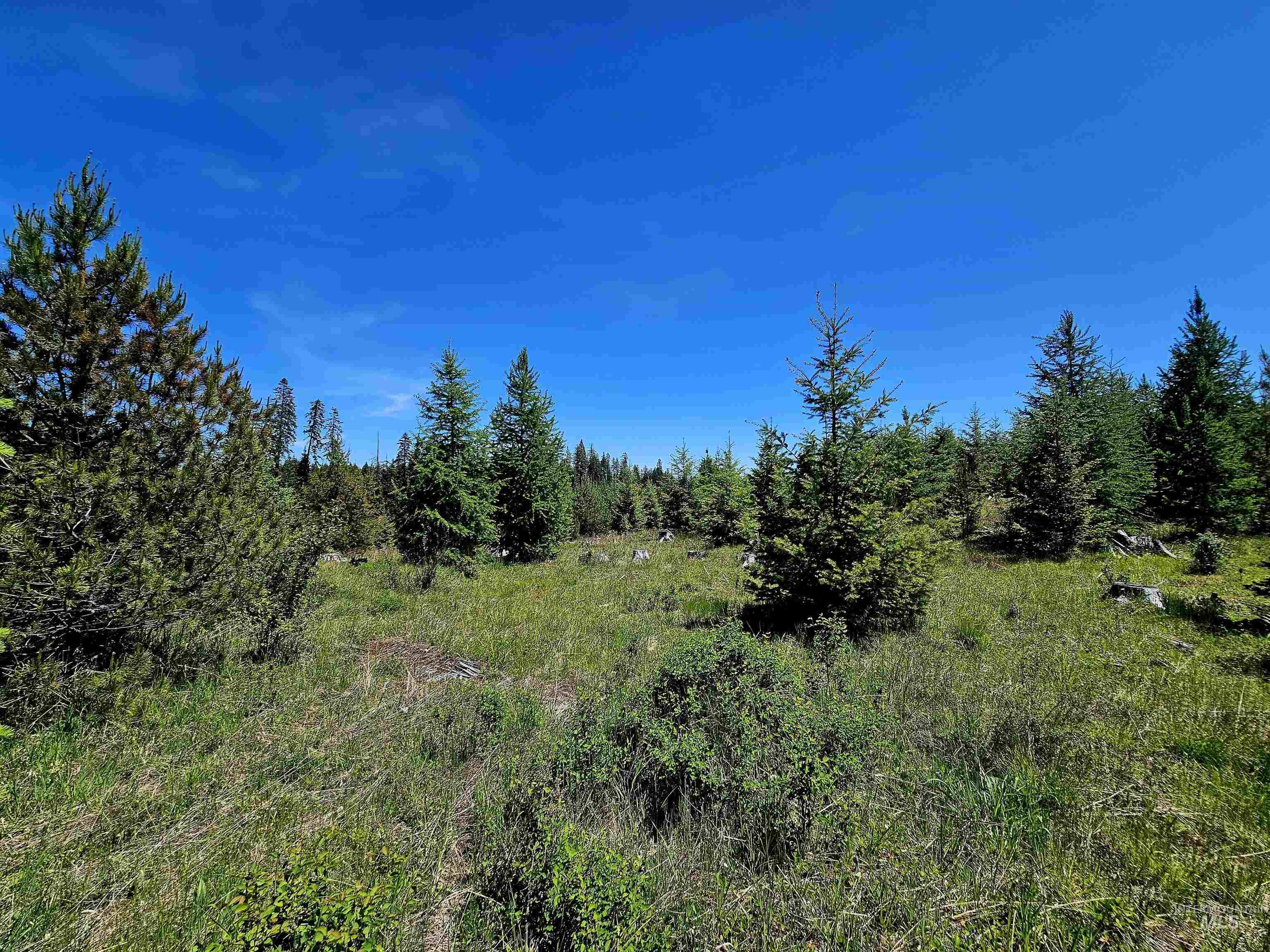 0 Timberline Heights Weippe, ID 83553 - Photo 8 of 15
