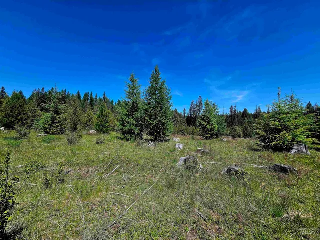 $238,700 | 0 Timberline Heights, Weippe, ID 83553