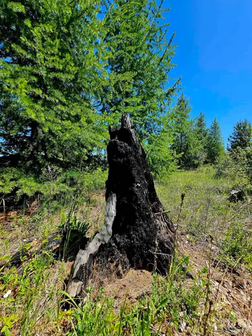 $238,700 | 0 Timberline Heights, Weippe, ID 83553